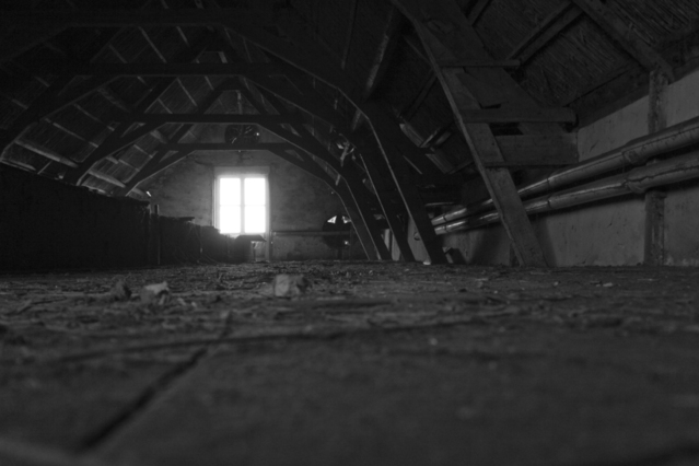 Restoring attics in Toledo