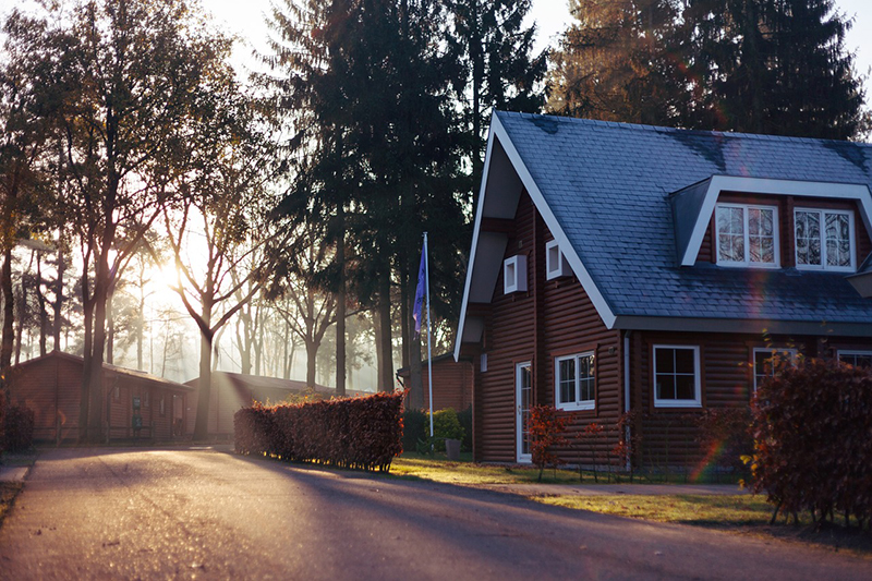 Residential Wildlife Management in Toledo 
